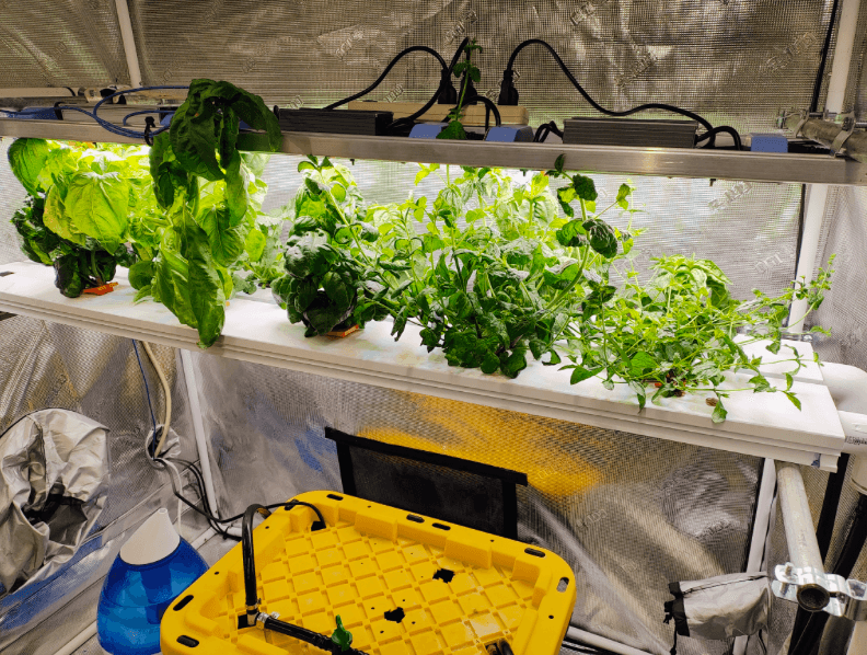 Automated Greenhouse