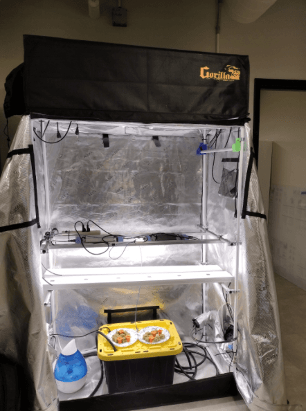 Automated Greenhouse System