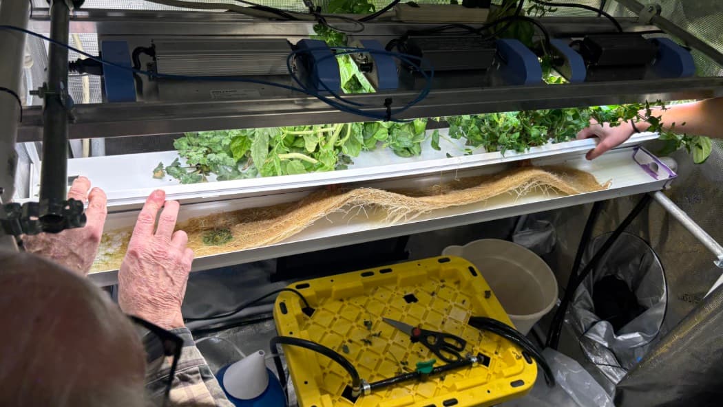 Automated Greenhouse