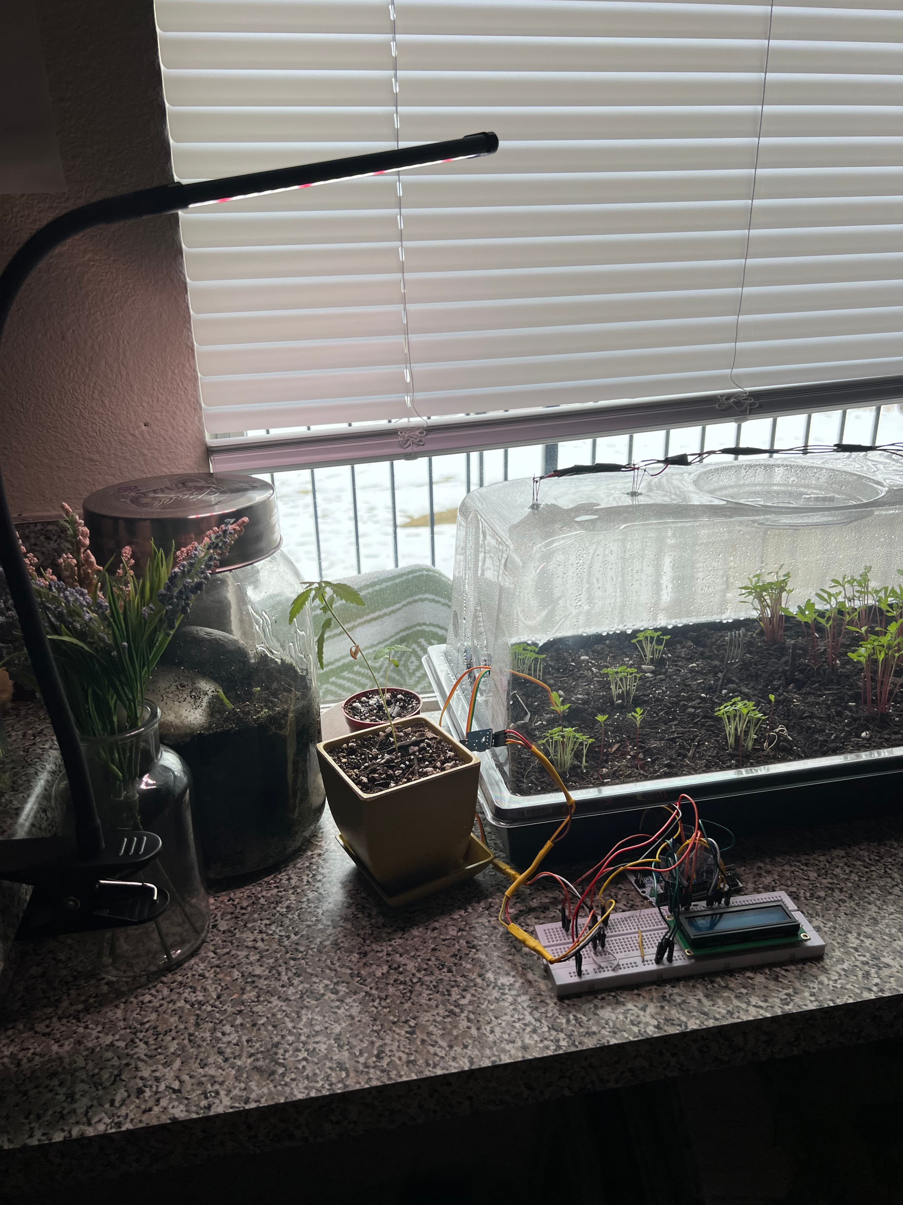 Arduino Monitored Ecosystem
